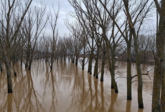 Τα πλημμυρικά φαινόμενα στην περιοχή του Διδυμοτείχου είναι έντονα από τα τέλη Ιανουαρίου. (φωτογραφία από ΚΑΣΤΡΟΠΟΛΙΤΕΣ ΔΙΔΥΜΟΤΕΙΧΟΥ)