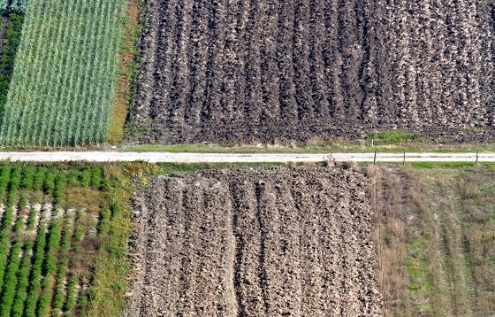 Και πάλι σοβαρές καταγγελίες για την κατάσταση με τις επιδοτήσεις στον Έβρο.