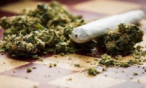 Συλλήψεις για ναρκωτικά στην Ανατολική Μακεδονία και Θράκη.