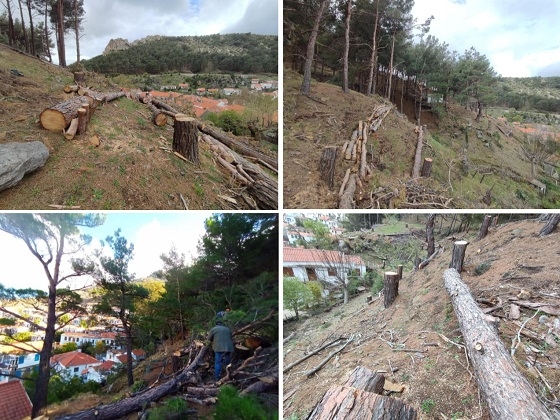 Ζώνες αντιπυρικής προστασίας δημιουργήθηκαν στη Σαμοθράκη.