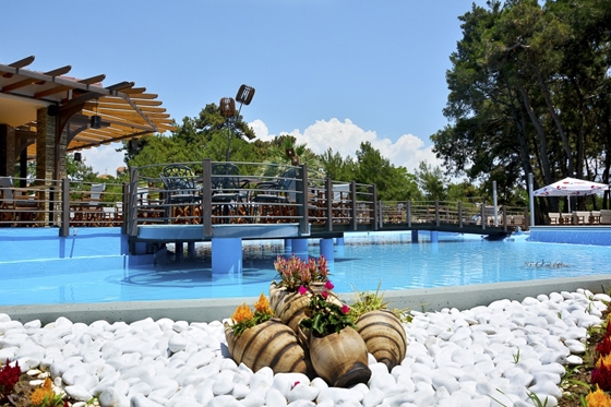 Προτείνεται η απαγόρευση των αυτοκινήτων στο Πάρκο των Προσκόπων