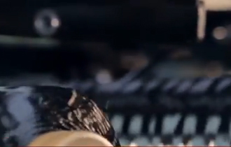 Προχωρά με γοργούς ρυθμούς, σύμφωνα με το Δήμαρχο Αλεξανδρούπολης Βαγγέλη Λαμπάκη, η γερμανική επένδυση.