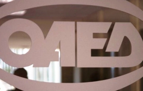 Άνεργοι άνω των 29 ετών αλλά και ελεύθεροι επαγγελματίες.