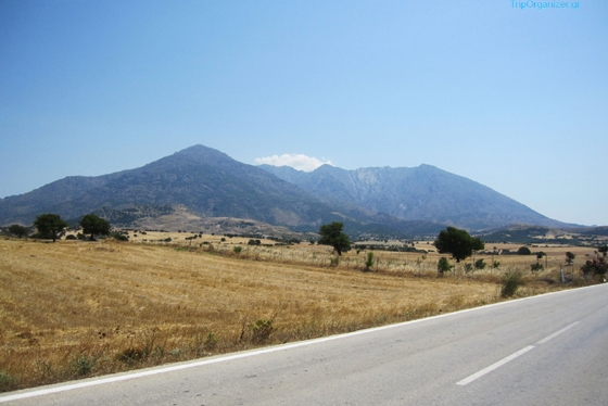 Εντοπίστηκαν όχι σε κάποιο φουσκωτό στη θάλασσα, ούτε σε παραλία αλλά στο οδικό δίκτυο.