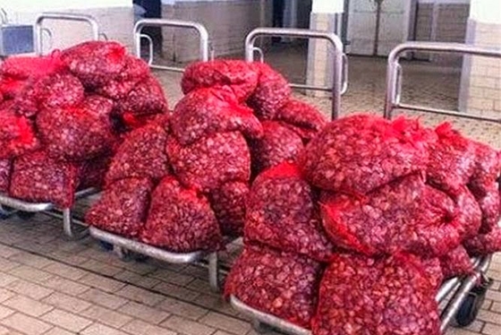 Κατόπιν ελέγχου από το Τμήμα Κτηνιατρικής της Π.Ε. Έβρου κρίθηκαν ακατάλληλα για ανθρώπινη κατανάλωση.