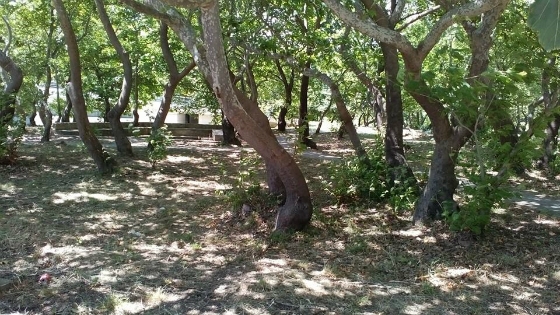 Συνεχίζονται τα έργα ανάπλασης στον Πλατανότοπο του Μαΐστρου