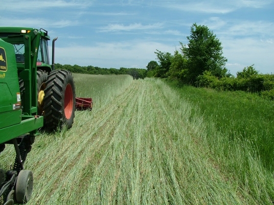 Χτύπημα για χιλιάδες αγρότες -Αύξηση 44% στις εισφορές περίθαλψης για τον ΟΓΑ 