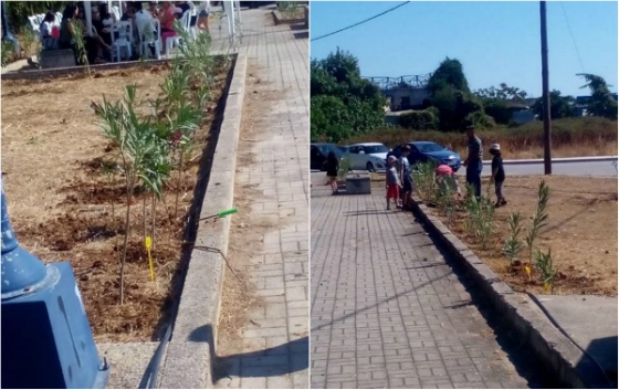 Αλεξανδρούπολη: Δώρο μία... δενδροφύτευση
