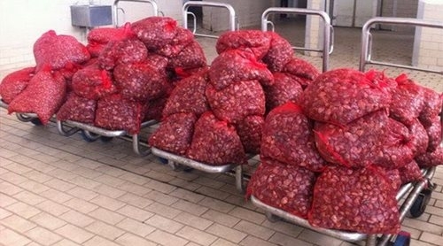 Συνεχίζονται οι συλλήψεις για ακατάλληλα όστρακα - Κατασχέθηκαν 66 σάκοι