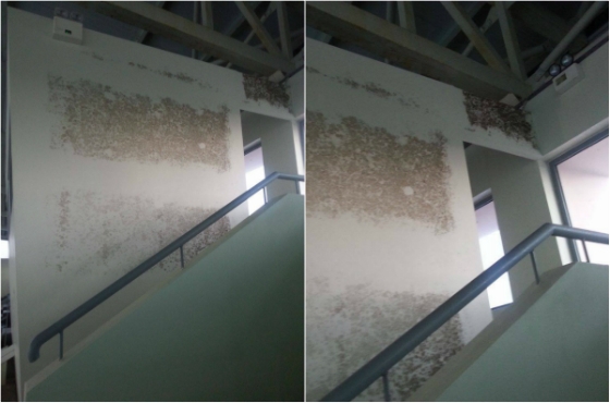 Σε άθλια κατάσταση το Δημοτικό κολυμβητήριο Αλεξανδρούπολης