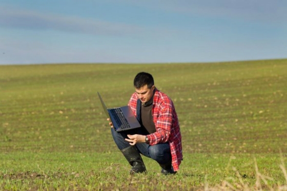 "Τριπτόλεμος": Πρόγραμμα για νέους έως 40 ετών που θέλουν να μάθουν το αγροτικό επάγγελμα