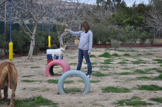 Αλεξανδρούπολη: Δημιουργείται πάρκο σκύλων στο Αλτιναλμάζη