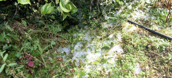 30.000 στρέμματα καταστράφηκαν από το χαλάζι που "χτύπησε" τον Έβρο