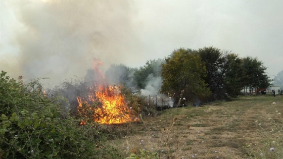Φωτογραφία αρχείου