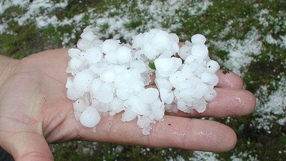 Φωτογραφία αρχείου