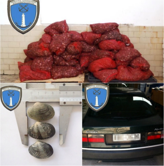 Δεν ξέρουμε τι τρώμε τελικά - Κι άλλη κατάσχεση ακατάλληλων οστράκων, στην Αλεξ/πολη, μέσα σε λίγες μέρες