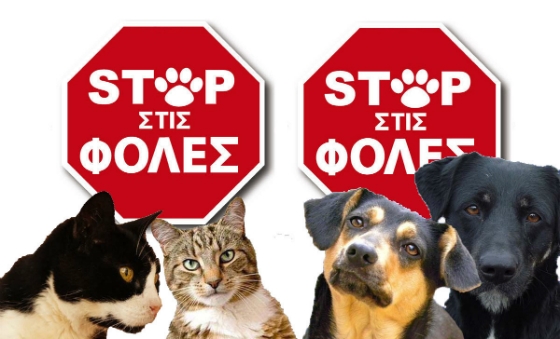 Έριξαν και πάλι φόλες στην Αλεξανδρούπολη