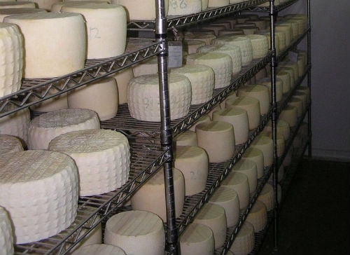 Εγκαινιάζεται ο χώρος επεξεργασίας Γάλακτος και Γαλακτοκομικών Προϊόντων, του "Θρακών - Αμνός"