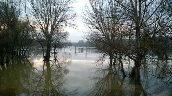 Σε επιφυλακή ο Έβρος - Αυξάνεται απειλητικά η στάθμη των νερών
