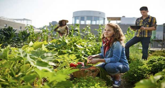 Οι επιλαχόντες του Προγράμματος «Νέοι Αγρότες» για την ΑΜ-Θ - Πίνακας ονομάτων 