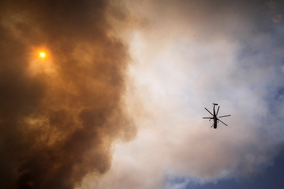 Φωτιά στο Άλσος της Τσίγγλας στο Διδυμότειχο – Σπεύδουν δυνάμεις από όλο τον Έβρο & ελικόπτερο