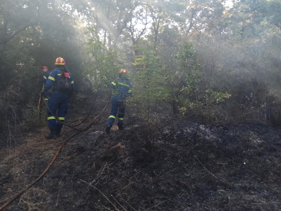 Το σημείο όπου εκδηλώθηκε η πυρκαγιά με τους πυροσβέστες να επιχειρούν