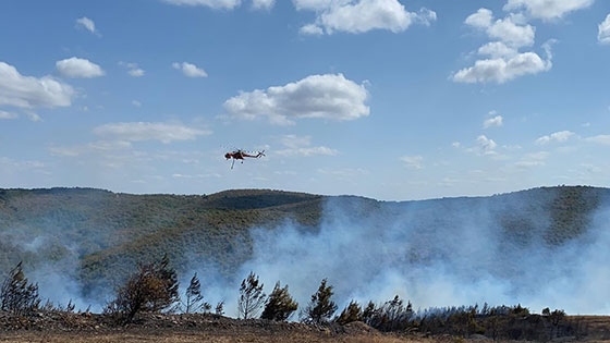 Βρέθηκε ο υπαίτιος της πυρκαγιάς των Λουτρών - Σχηματίστηκε δικογραφία