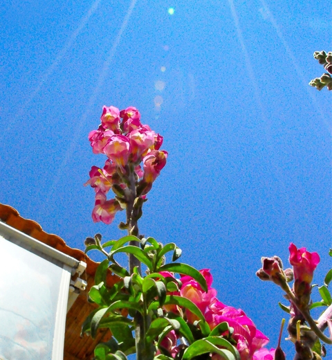 Θα "μυρίσει" καλοκαίρι!