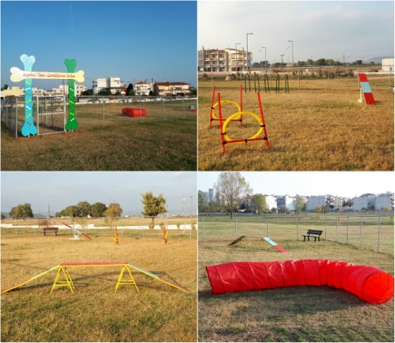 Το πάρκο Δεσποζόμενων σκύλων στο Oικοπάρκο Αλτιναλμάζη πριν 4 χρόνια!