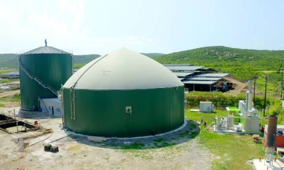 Ολοκληρώθηκε το πρόγραμμα Altermilk από την εταιρεία Campus του ομίλου Εβροφάρμα