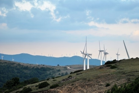 Το όλο θέμα έχει πάρει διαστάσεις, καθώς ήδη έχει δοθεί σχετική άδεια.