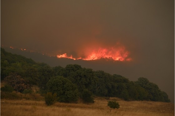 Οι επιχειρήσεις κατάσβεσης επικεντρώνονται στη Λευκίμμη, τη Λεπτοκαρυά, τις Τρεις Βρύσες και Κίρκη.