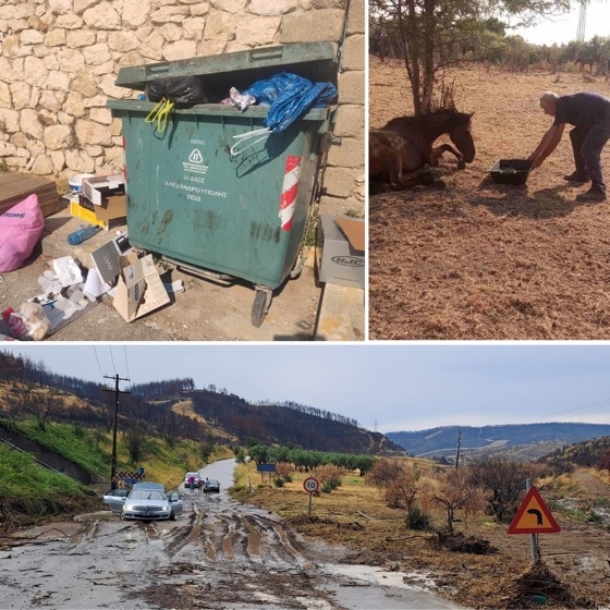 Στα προβλήματα της Αλεξανδρούπολης αναφέρεται η αντιπολίτευση.