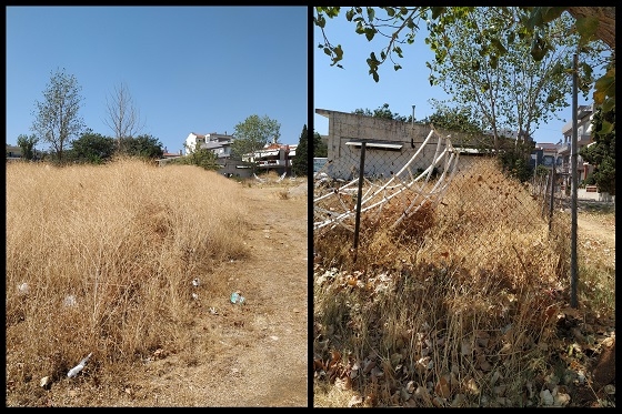 Ξερά χόρτα μέσα στον αστικό ιστό της Αλεξανδρούπολης.