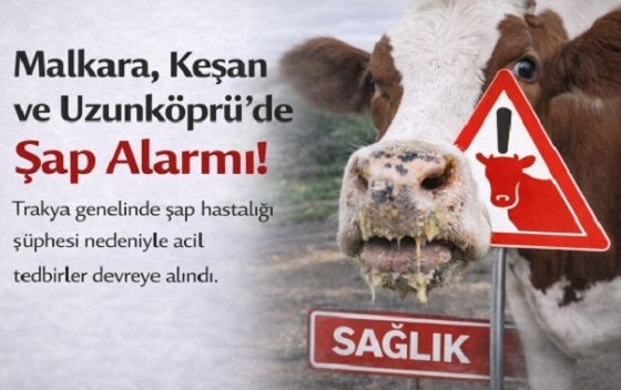 Φόβοι και στον Έβρο για τον αφθώδη πυρετό από την Τουρκία - Έκτακτα μέτρα στα σύνορα