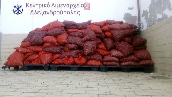 Φώτο αρχείου.