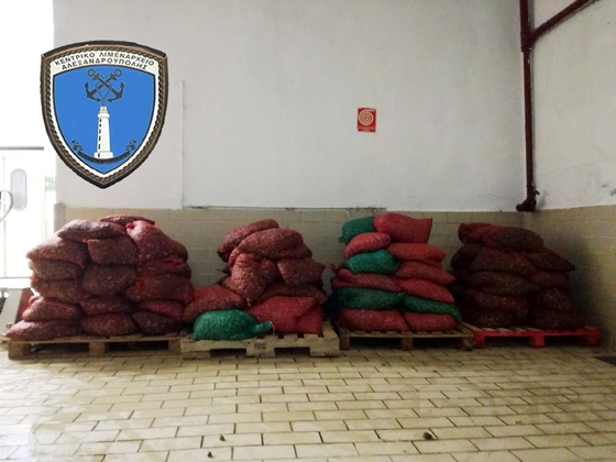 Τα όστρακα που κατασχέθηκαν.