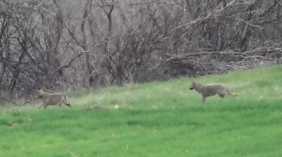 Φωτογραφία έξω από το χωριό Αμφιτρίτη.  
