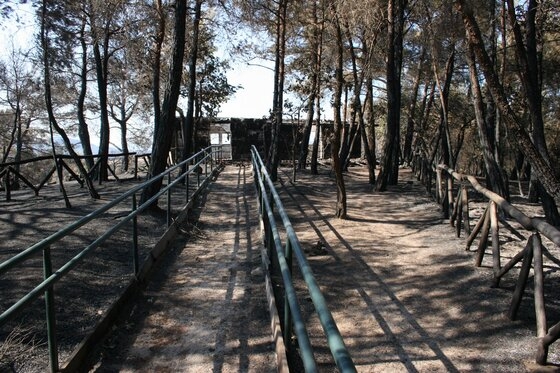 Πηγή φωτογραφίας: Ανδρέας Αθανασιάδης