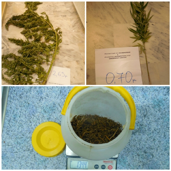 Συλλήψεις για ναρκωτικές ουσίες στη Σαμοθράκη.