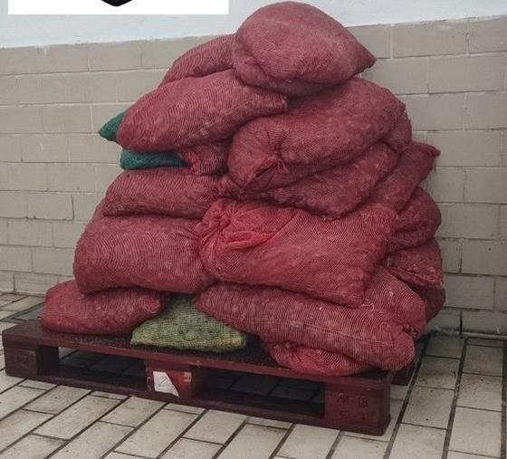 Αυτά είναι τα όστρακα που κατασχέθηκαν.