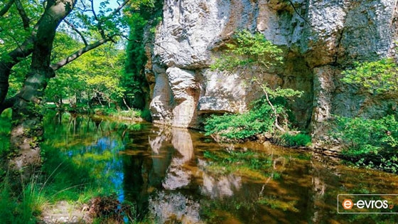 Απαγόρευση κυκλοφορίας στα περιαστικά και παραλιακά άλση της Περιφέρειας ΑΜΘ