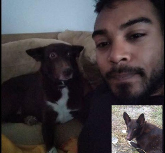 Νεκρός 29χρονος σε τροχαίο στην Εγνατία - Η οικογένεια αναζητά τον σκύλο του