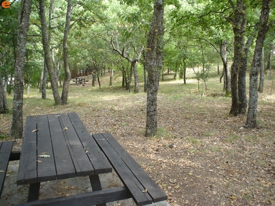 Εθελοντική δράση καθαρισμού στην Δαδιά