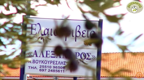Παγκόσμια διάκριση για το ελαιοτριβείο "Αλέξανδρος" (video)