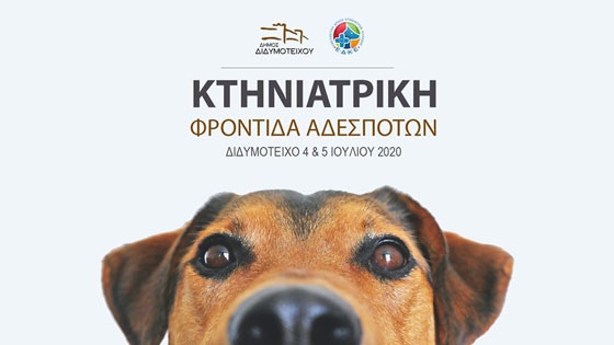 Οι κτηνίατροι της ΕΔΚΕ πάνε Διδυμότειχο - Για δύο μέρες θα παρέχουν κτηνιατρική φροντίδα στα αδέσποτα ζώα του Δήμου