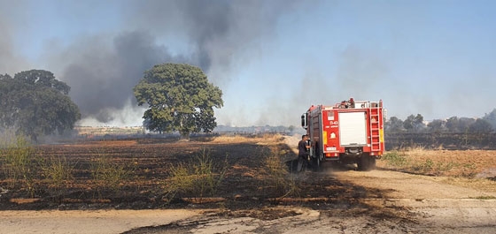 Συναγερμός στην Πυροσβεστική: Μεγάλη φωτιά στην Αλεξανδρούπολη (video)