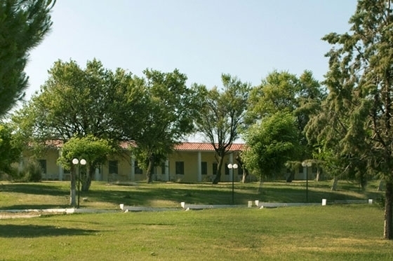 Πρόεδρος ΤΙΕΔΑ: Δεν μας βρίσκει σύμφωνους η ίδρυση της Α.Ε «Ιαματικές Πηγές Ελλάδος Α.Ε.»