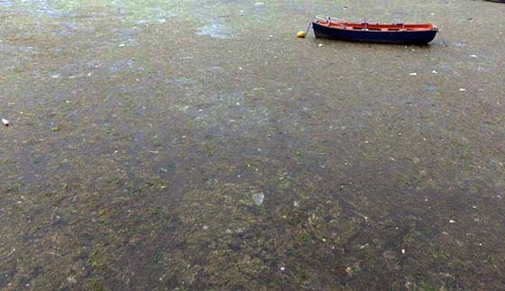 Τι γίνεται με το φυτοπλαγκτόν στο Θρακικό Πέλαγος  - Σύσκεψη συγκάλεσε ο Περιφερειάρχης ΑΜΘ