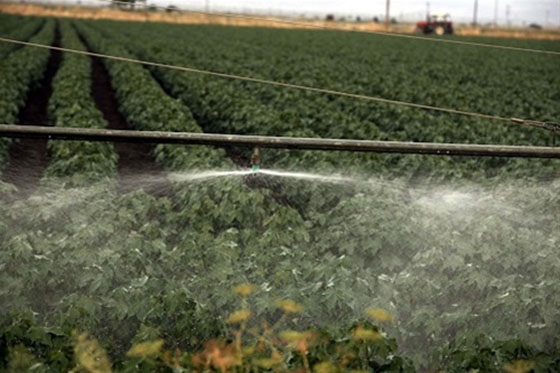 2,1 εκατομμύρια ευρώ για την ενίσχυση τοπικών επιχειρήσεων του Έβρου μέσω του προγράμματος LEADER